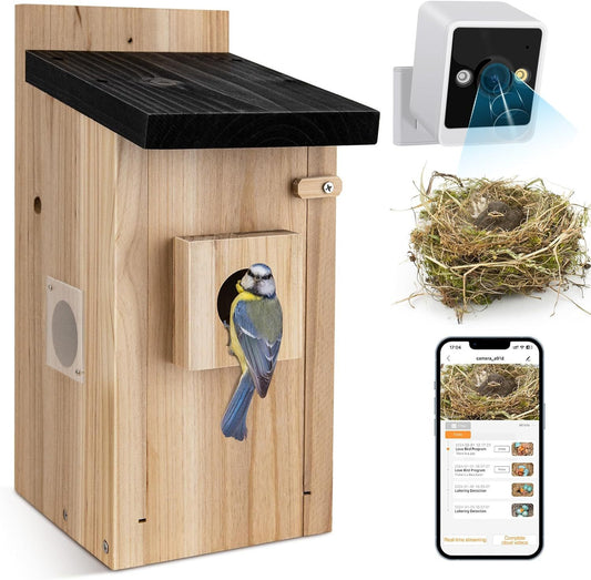Bird House With Camera with bird on it phone nest and camera above the box 