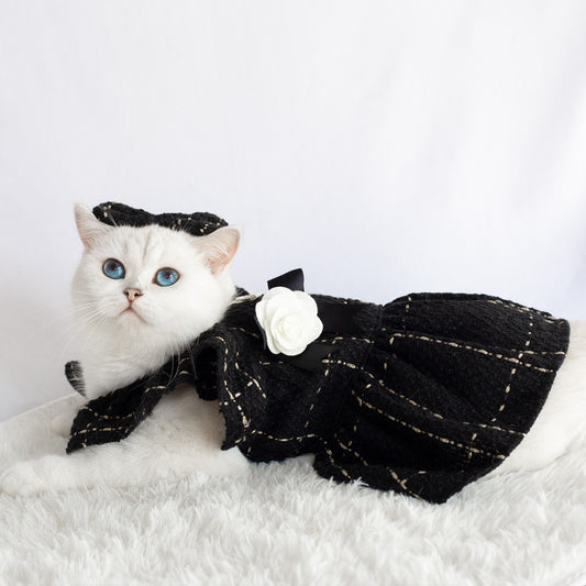 Elegant Cat Dress black color on a white cat with bowtie 