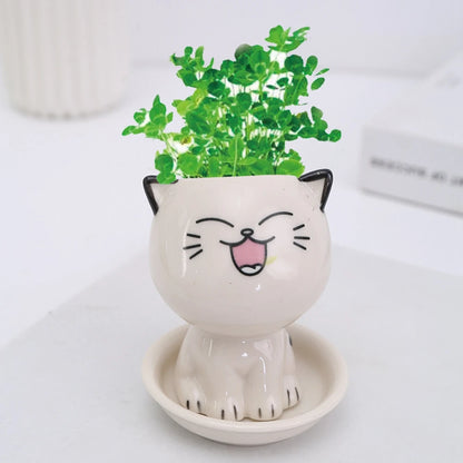 Mini Cute Cat pot laughing 