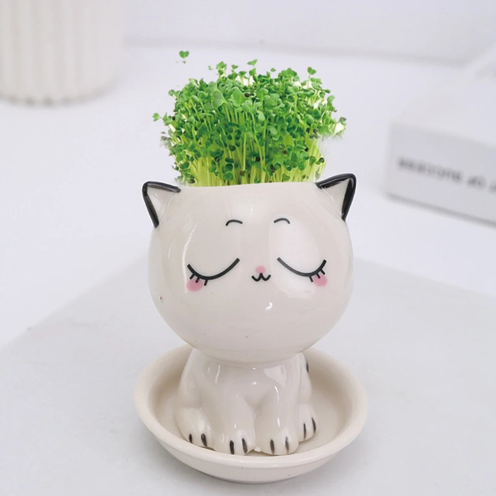 Mini Cute Cat pot closed eyes 