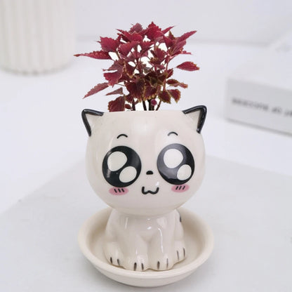 Mini Cute Cat pot sweet eyes 