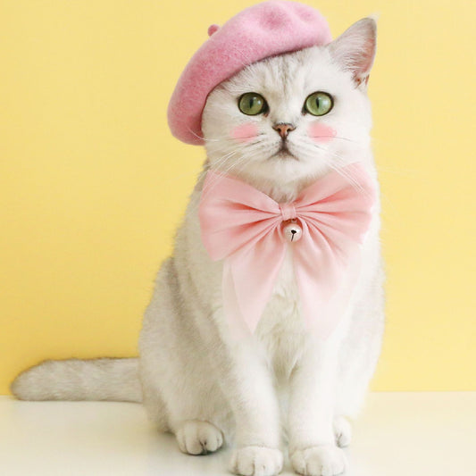 Cat Elegant Set  pink full set on white can 